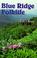 Go to record Blue Ridge folklife