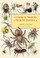 Go to record Common spiders of North America