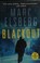 Go to record Blackout : a novel