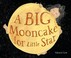 Go to record A big mooncake for little Star