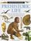 Go to record Prehistoric life