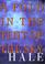 Go to record A fold in the tent of the sky : a novel