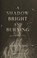 Go to record A shadow bright and burning